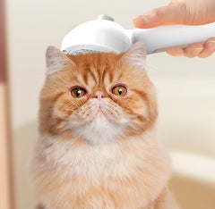 Pets Hair Brush