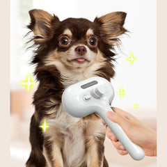 Pets Hair Brush
